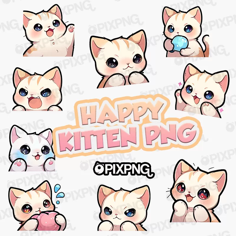 Happy Kitten Png