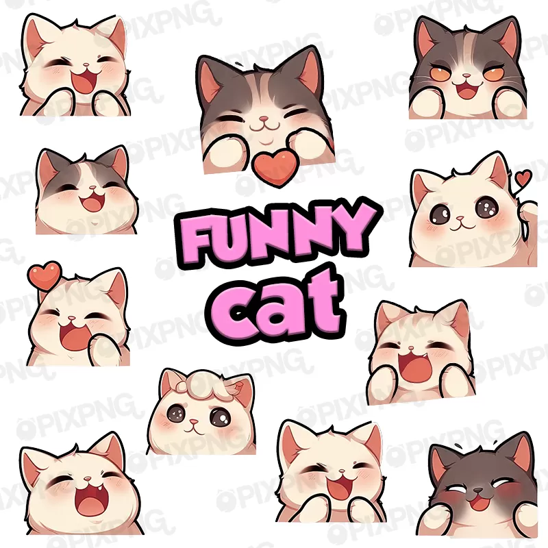 Funny Cat