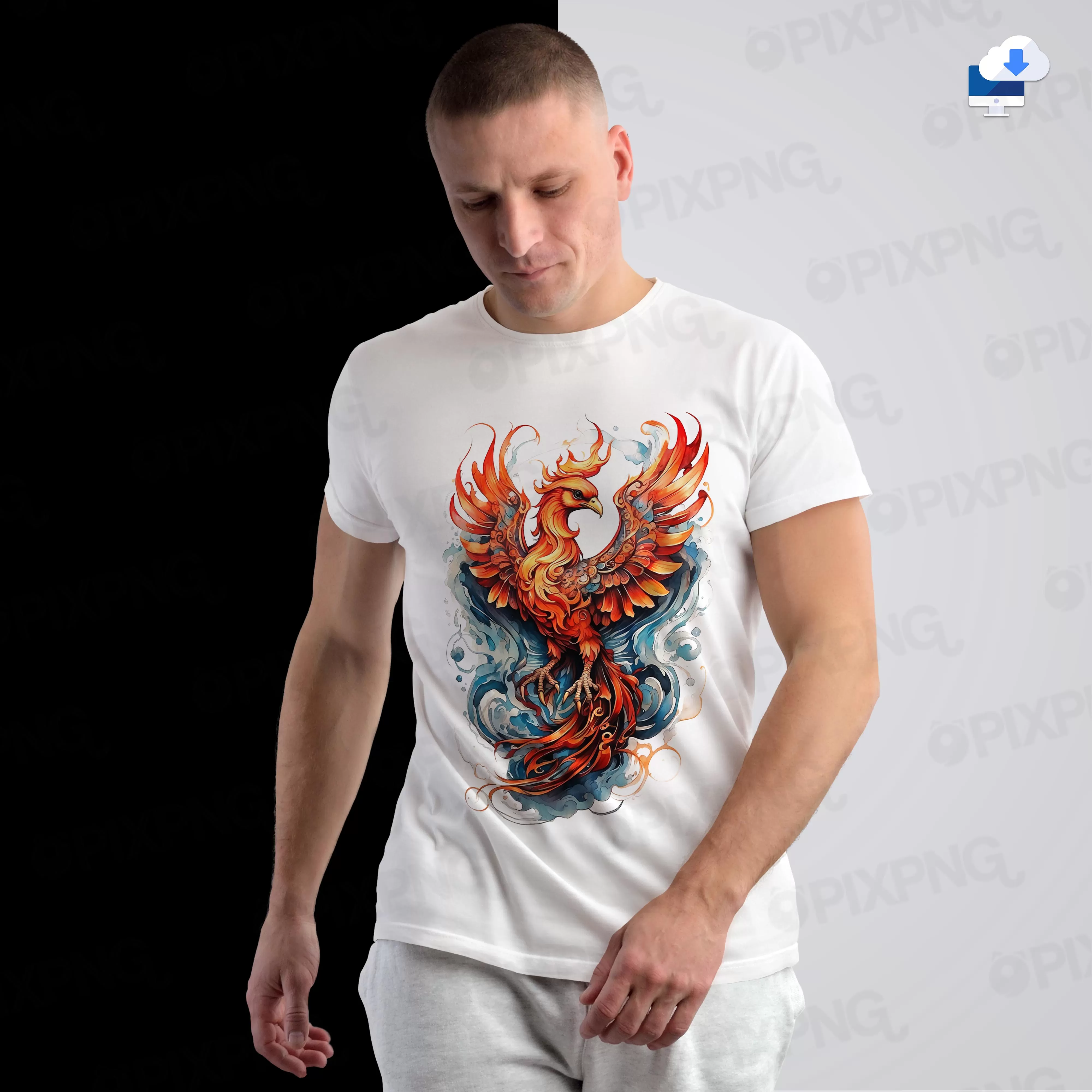 Phenix Orange The Shirt Png